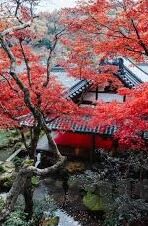 久草中久草中文字幕在线影院-探索成人内容平台的边界与影响,以久草中文字幕在线影院为例